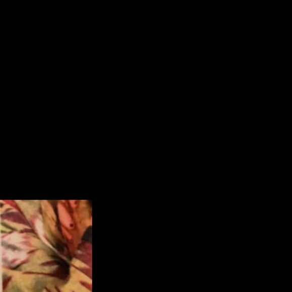 Meet your Posher, Lawrence - Picture 1 of 1